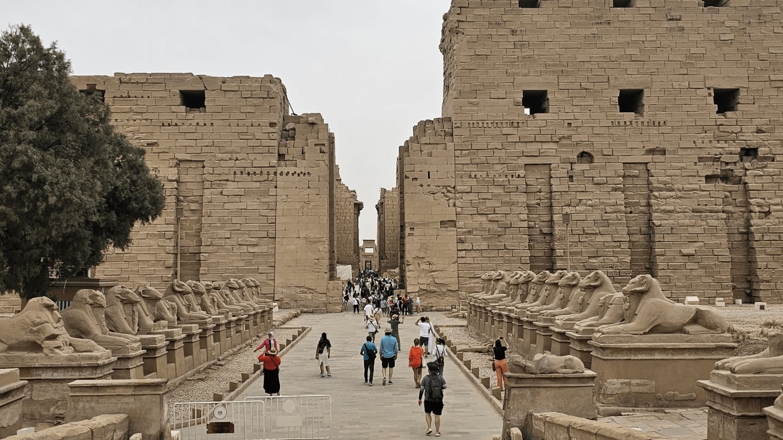 Pharaoh’s Nile Voyage