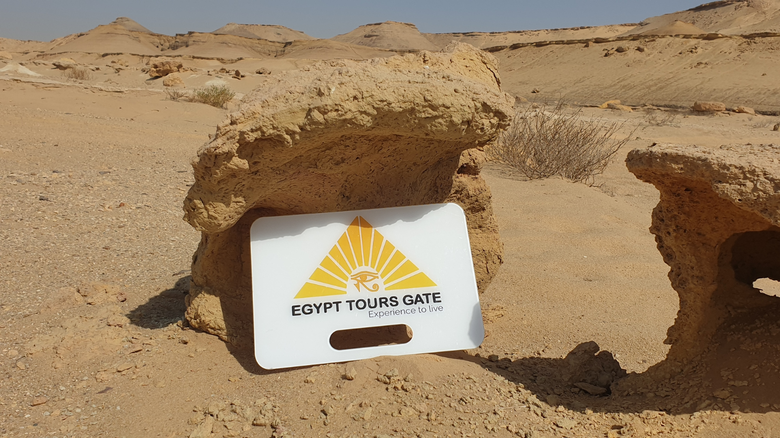 A Day Tour To All The Pyramids