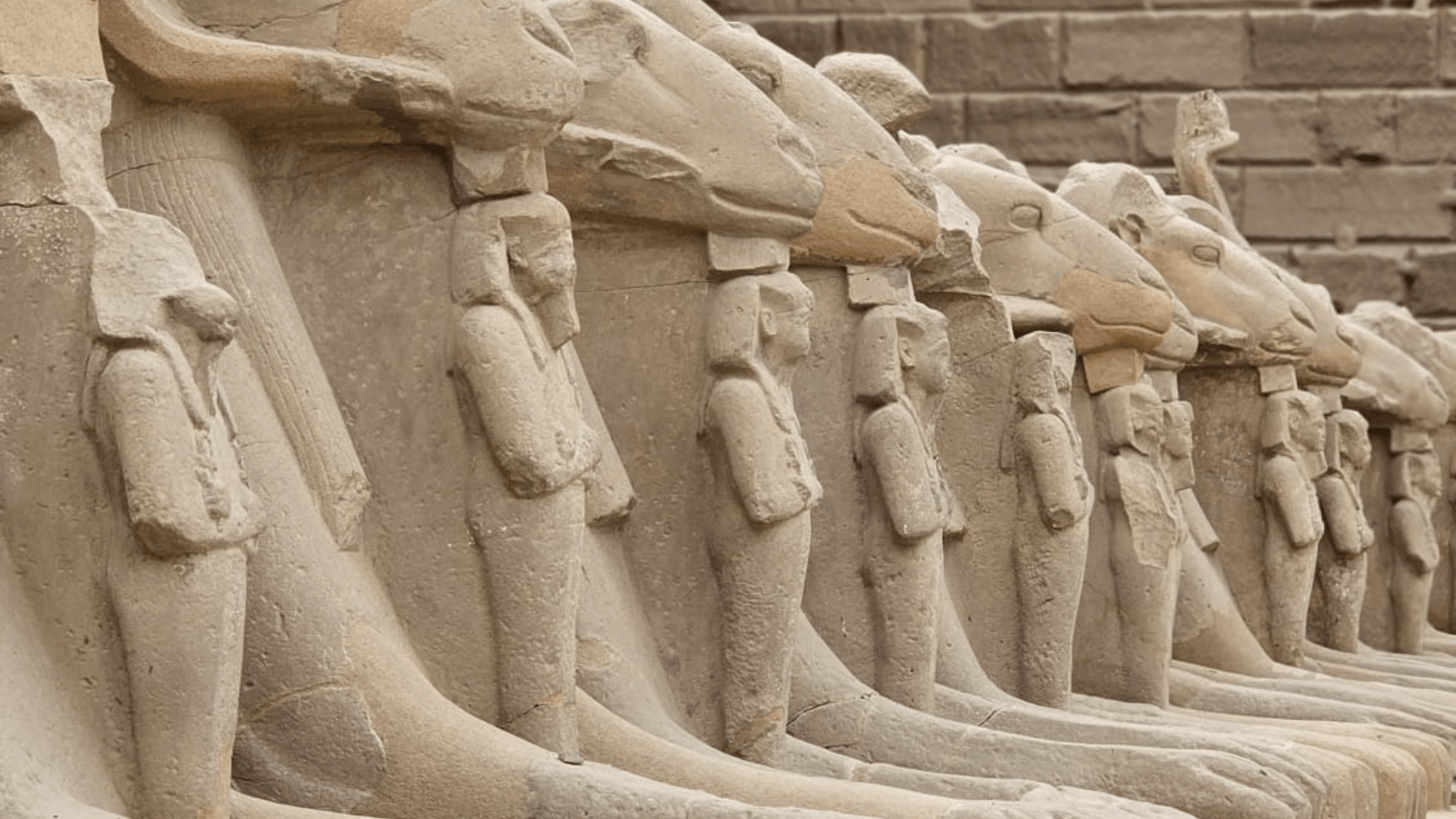 A Day Tour From Cairo To Luxor By Plane