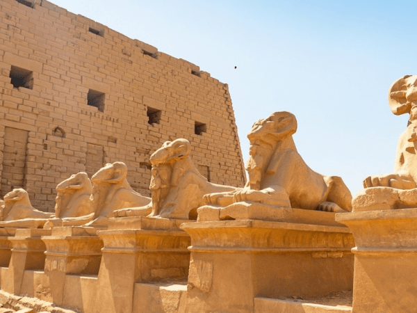 Half Day Tour to East of Luxor