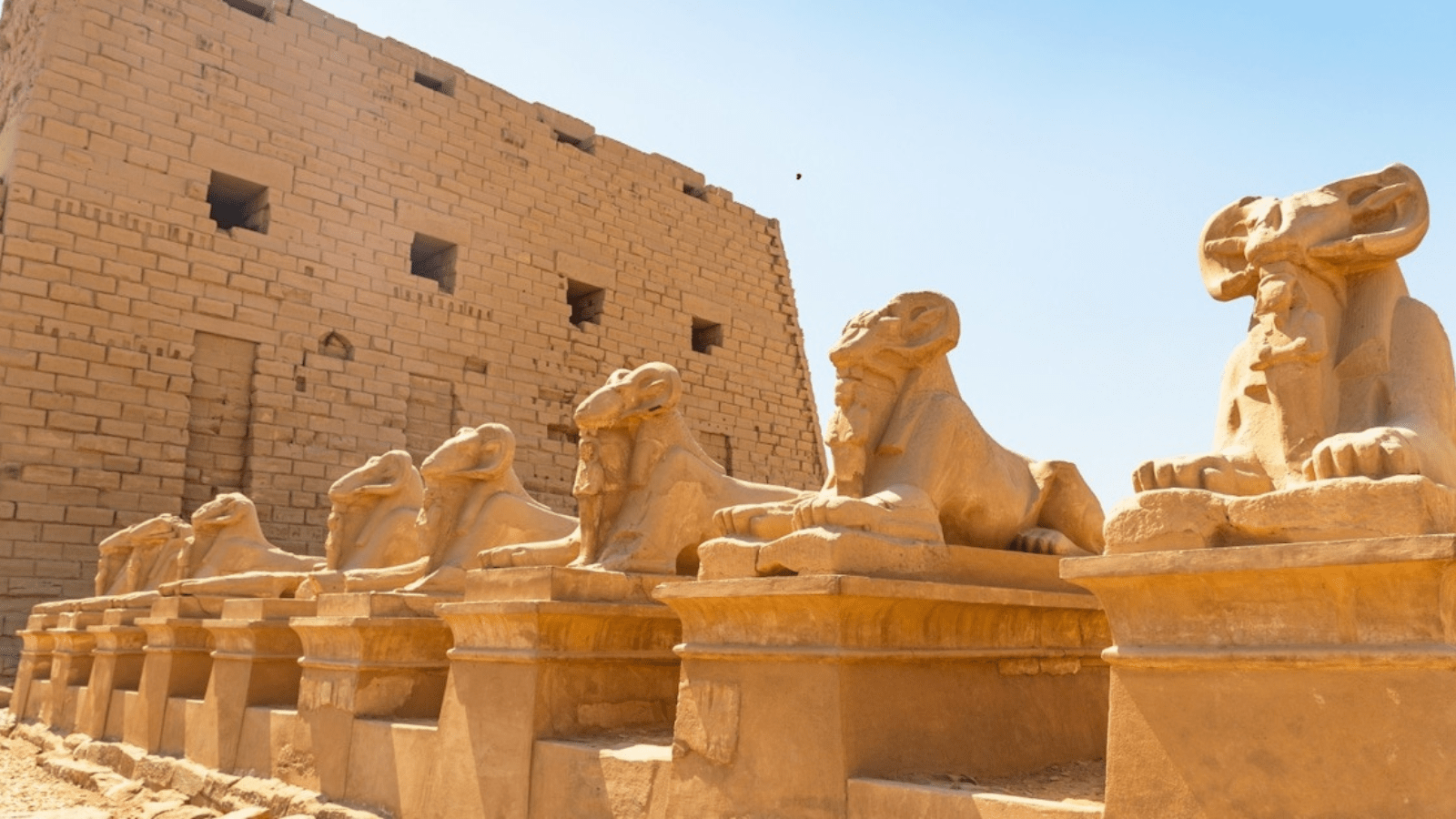 Half Day Tour to East of Luxor