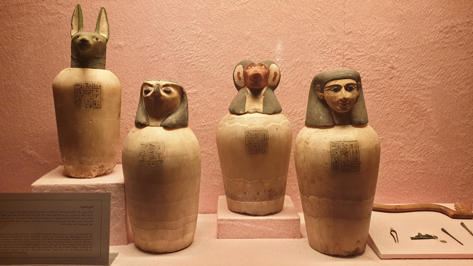 Private Day Tour from Sharm el Sheikh To Cairo by Plane