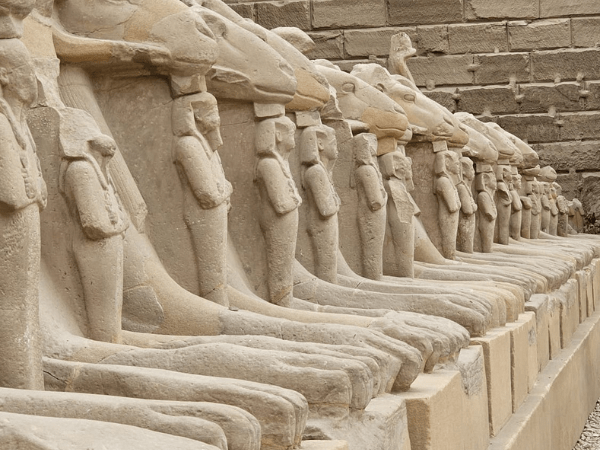 Private Day Tour from Sharm el Sheikh To Luxor by plane