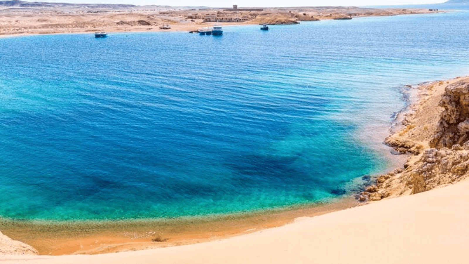 Day Tour To Ras Mohamed By Bus