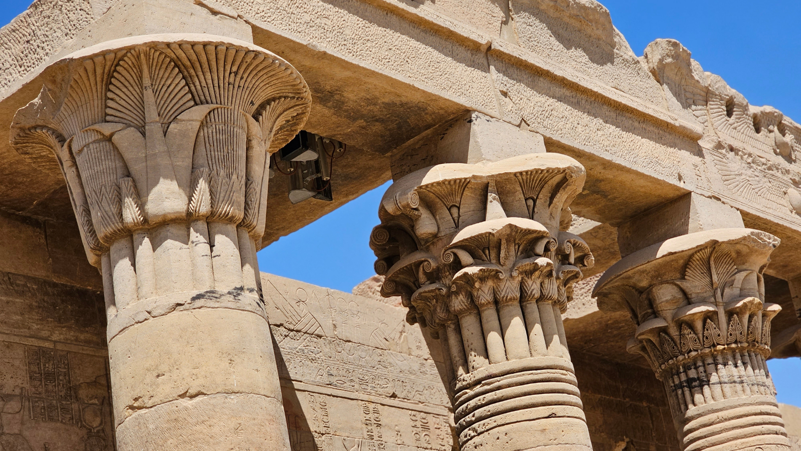 10 days of Adventure in Egypt
