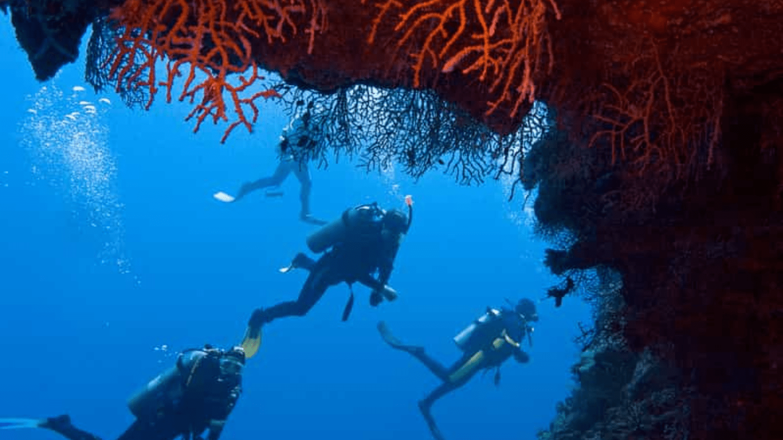 A Day Tour Snorkeling at Mahmya Island