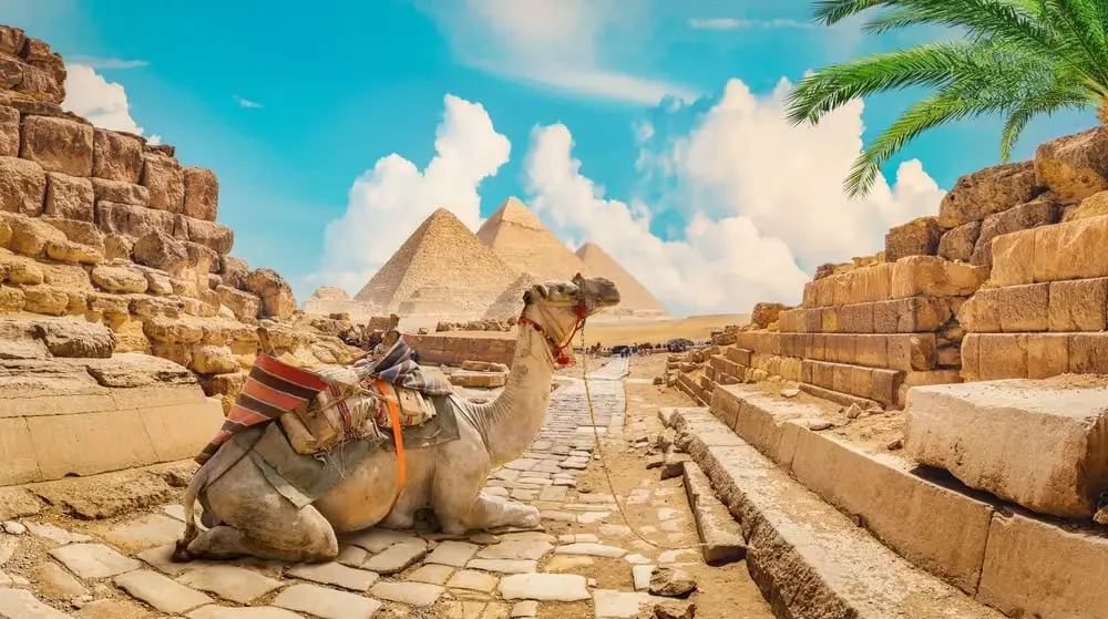 Trending Destinations in Egypt