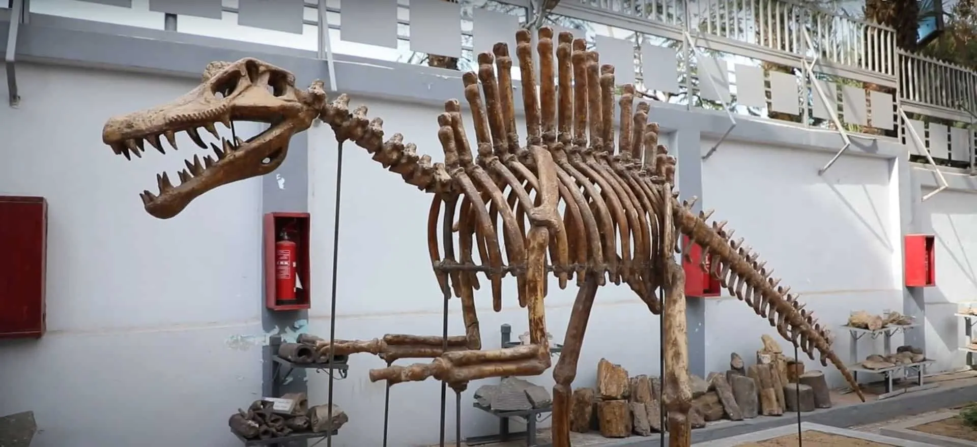 Ãƒâ€žgyptisches Geologisches Museum