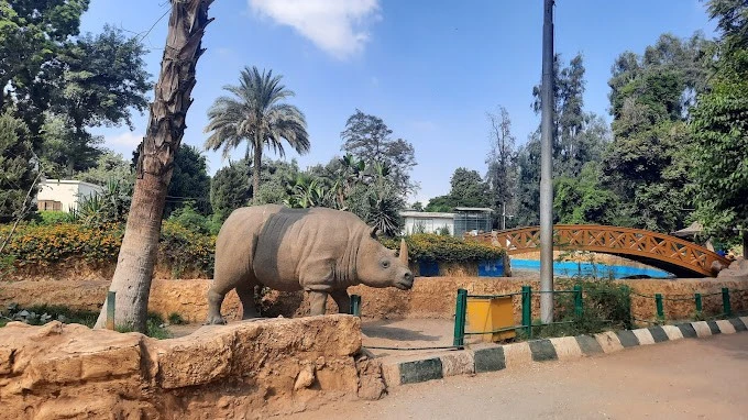Les 5 meilleurs zoos d'Egypte
