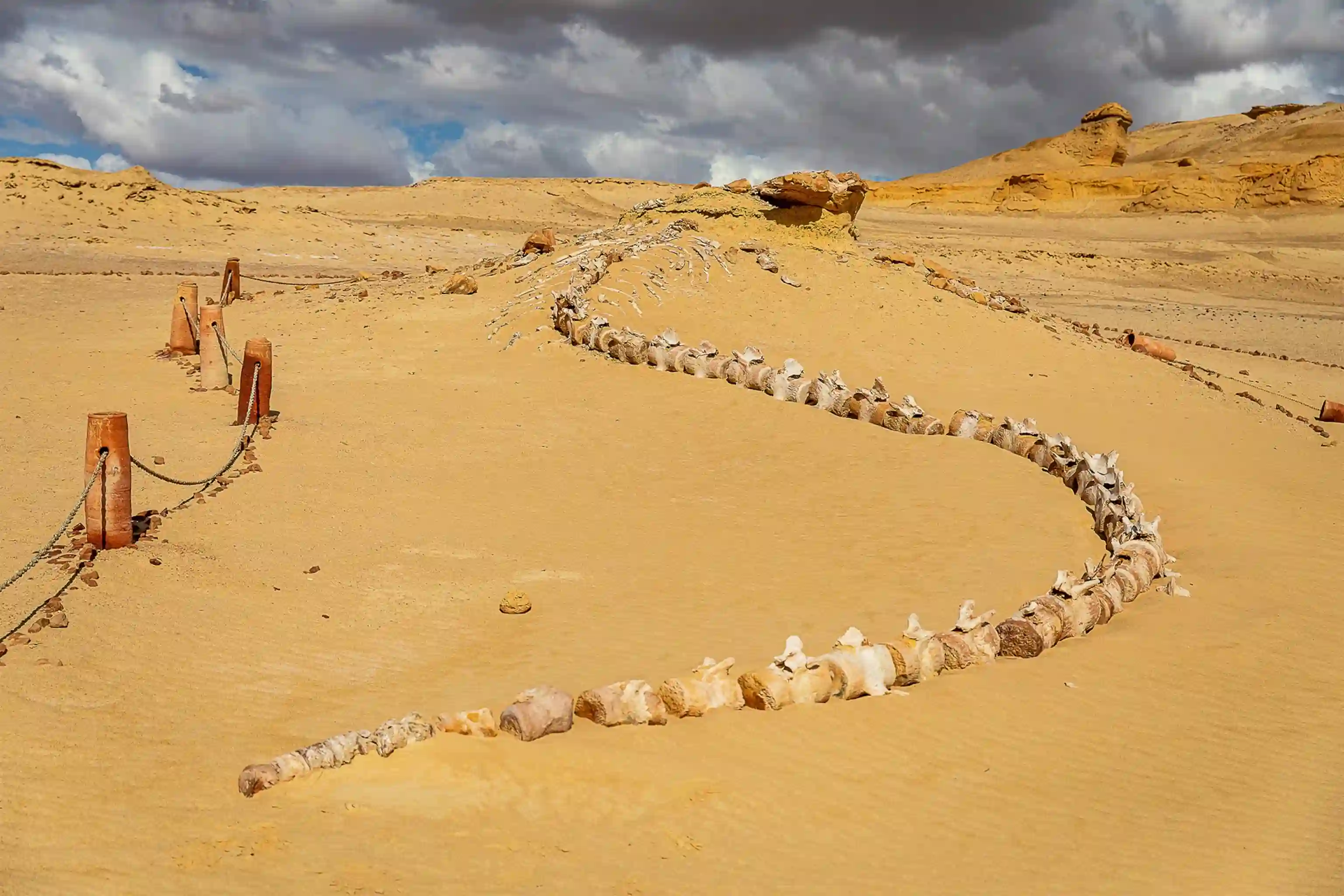 Wadi El Hitan