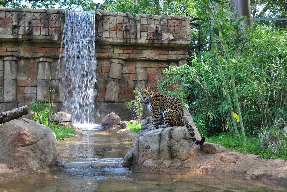 Zoo von Alexandria, Ãƒâ€žgypten