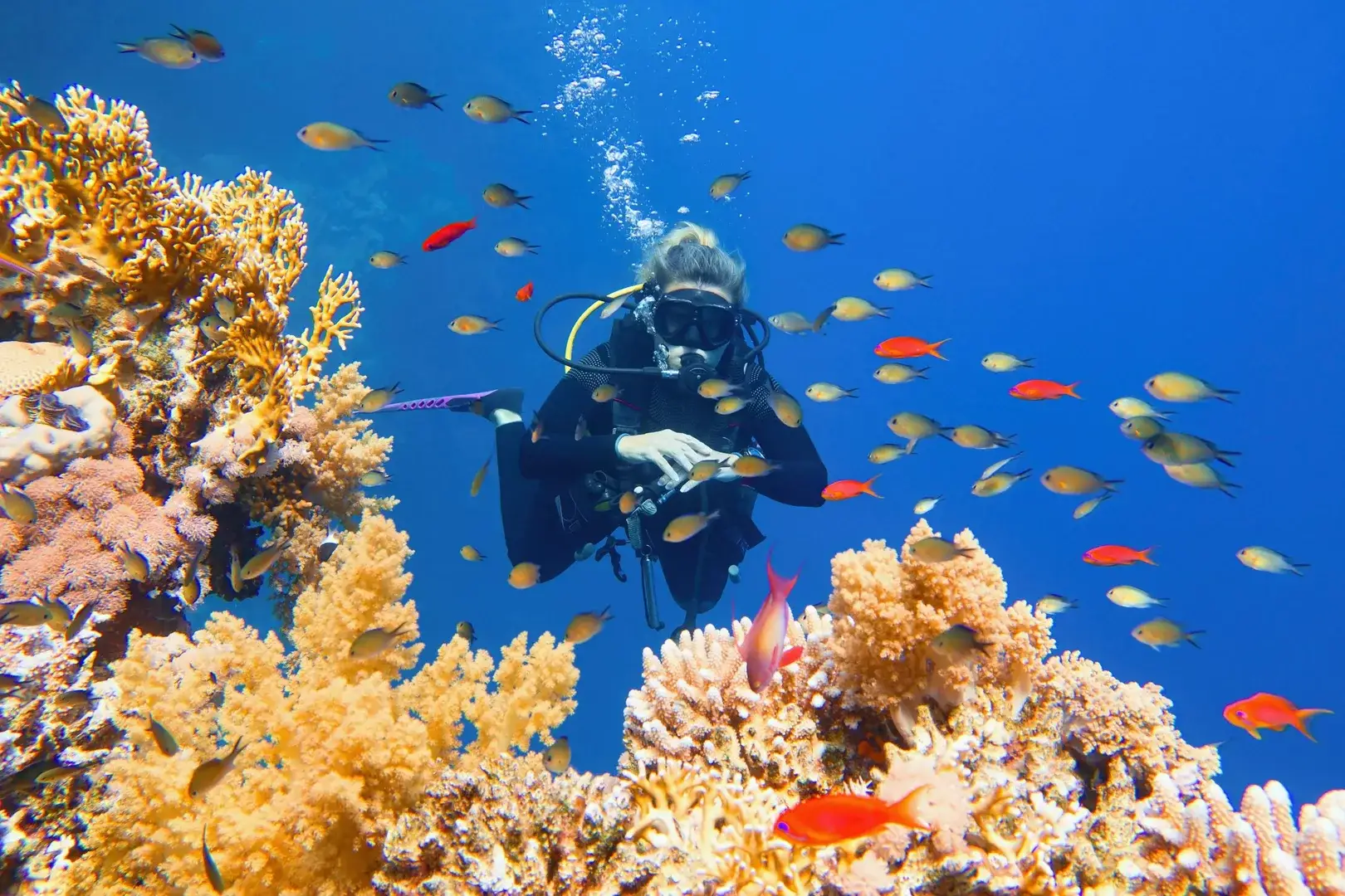 Lieux ÃƒÂ  visiter ÃƒÂ  Hurghada