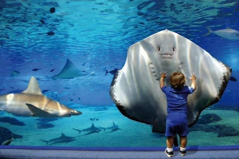 Grand Aquarium d'Hurghada