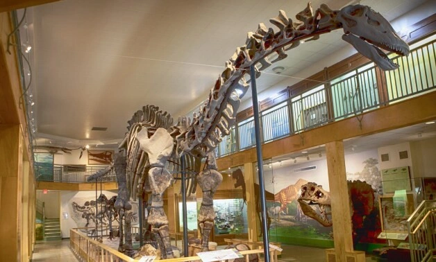 Ãƒâ€žgyptisches Geologisches Museum