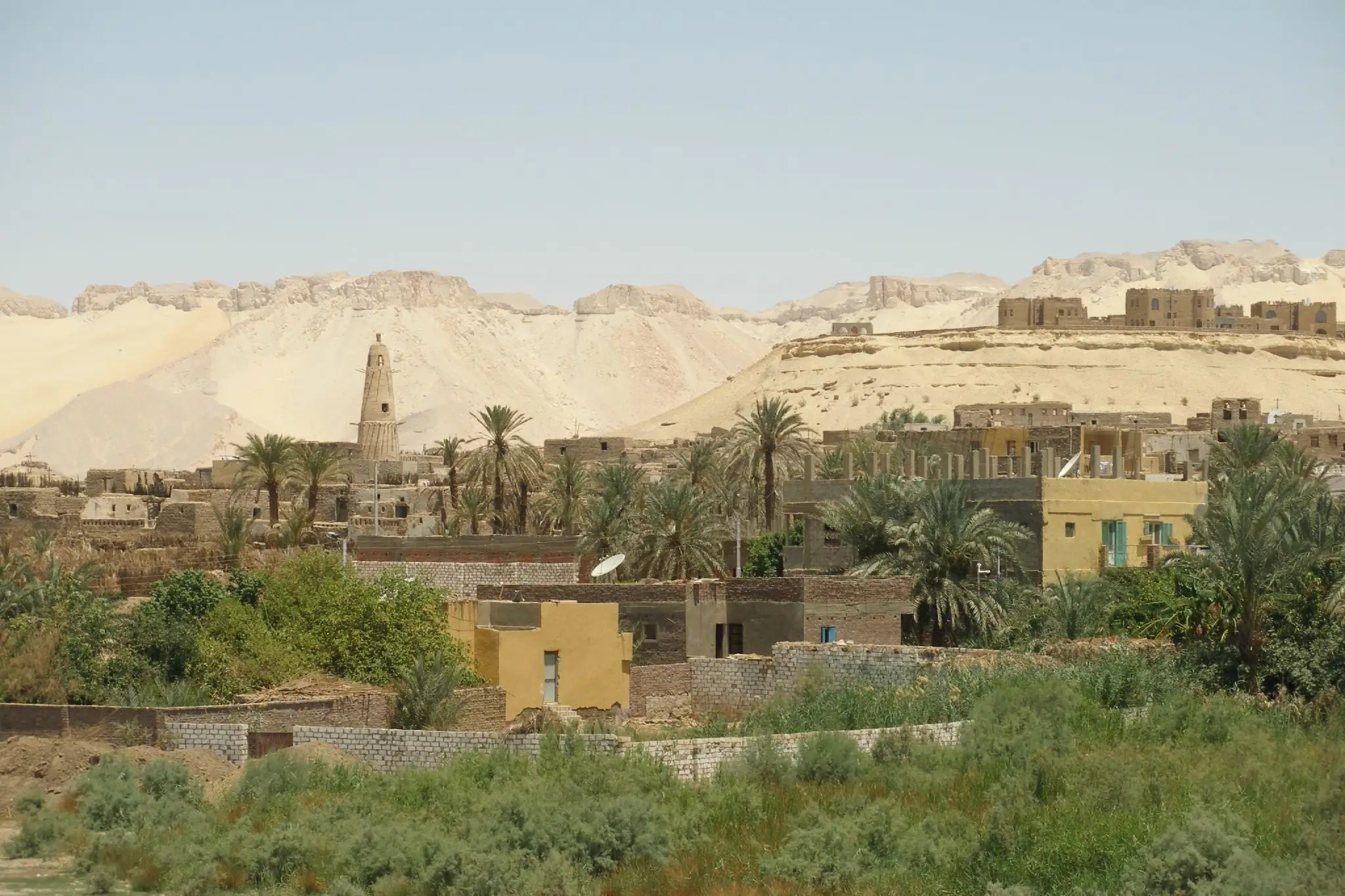 Oasis de Dakhla : La plus grande oasis d'Egypte