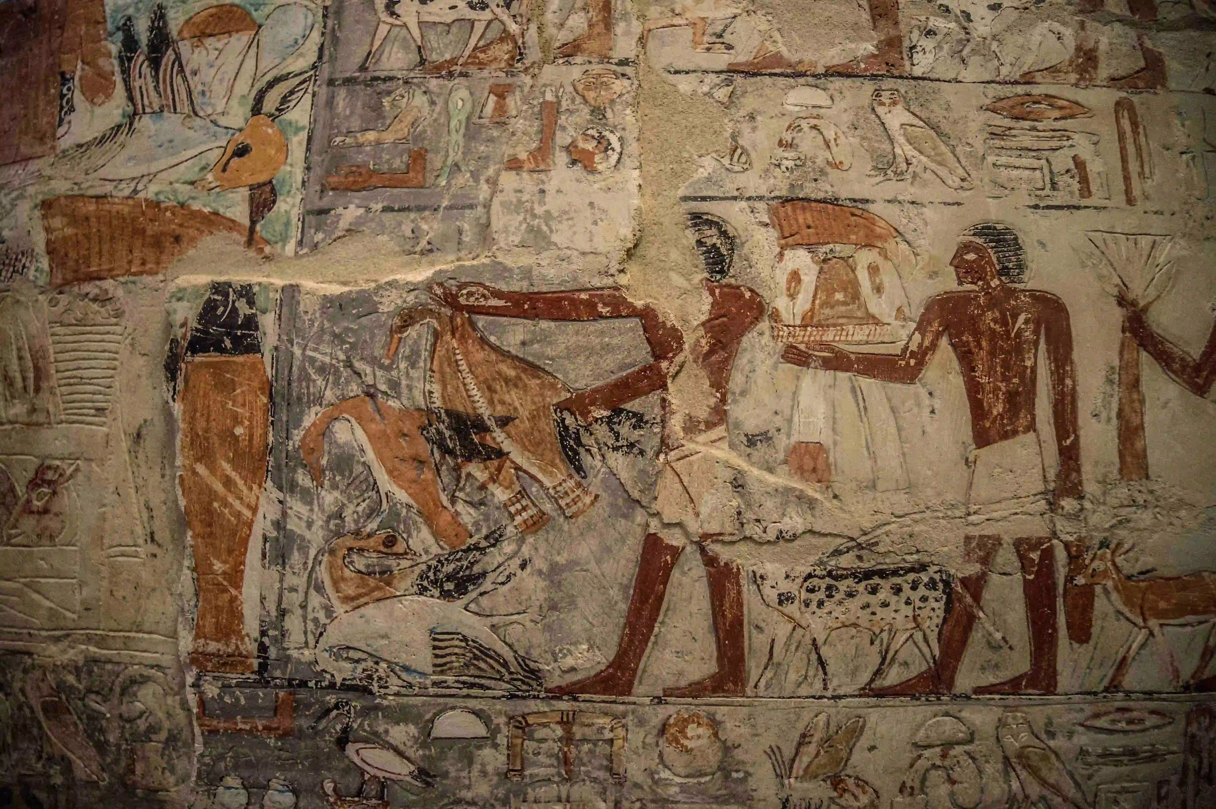 Tombe de Mehu ÃƒÂ  Saqqarah