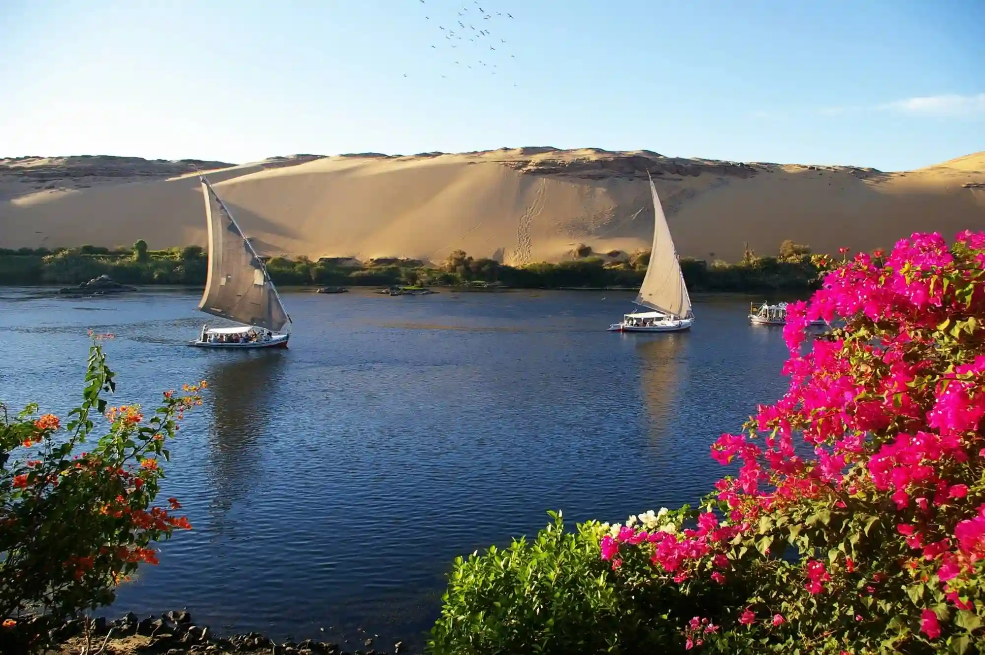 Elephantine-Insel