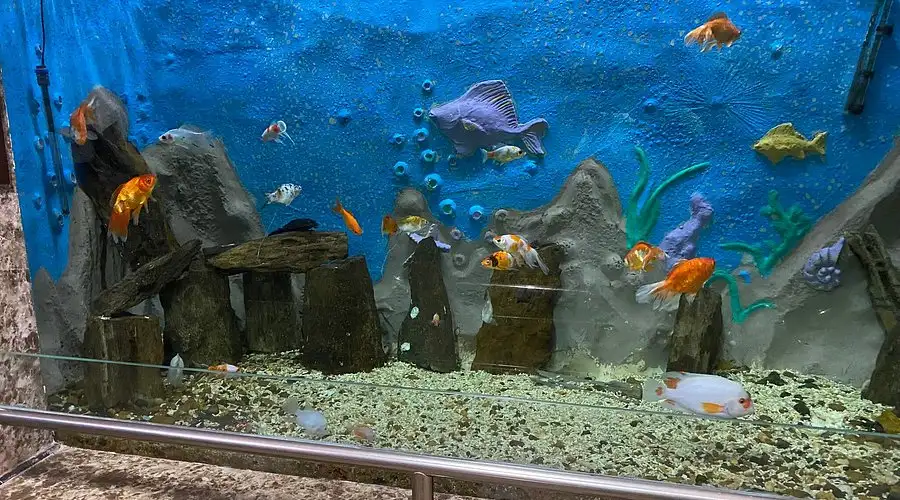 Alexandria Aquarium Museum