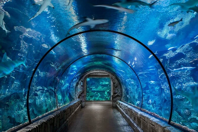 Grand Aquarium d'Hurghada