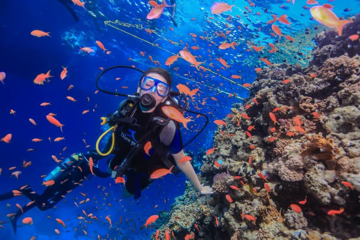 Sharm El Sheikh Scuba Diving & Red Sea Experience