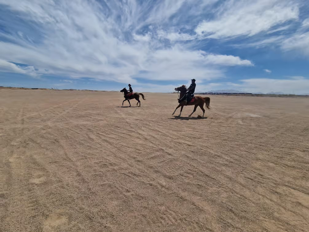 Hurghada Horse Riding & Red Sea Experience