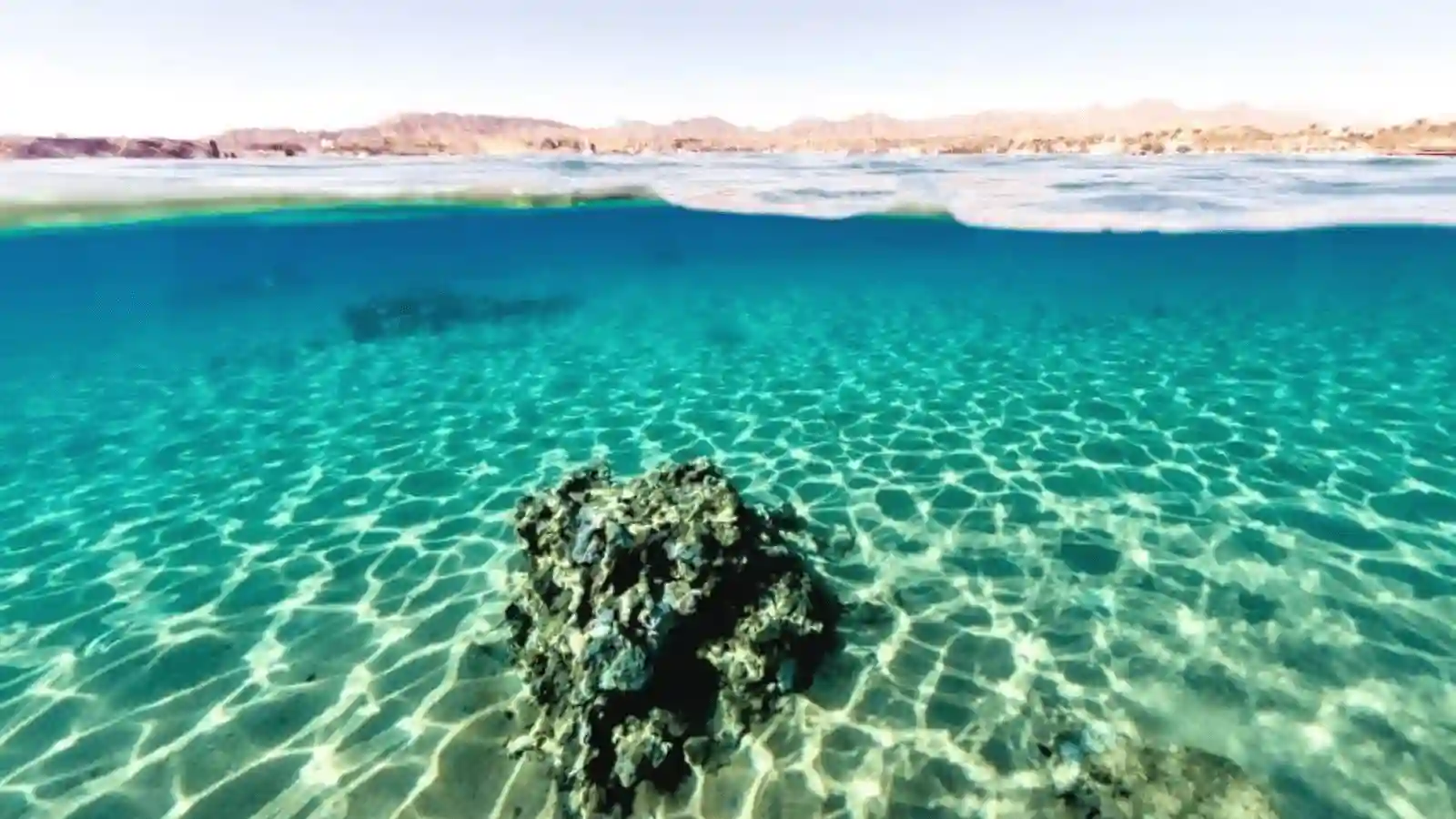 Hurghada Day Tour(new)