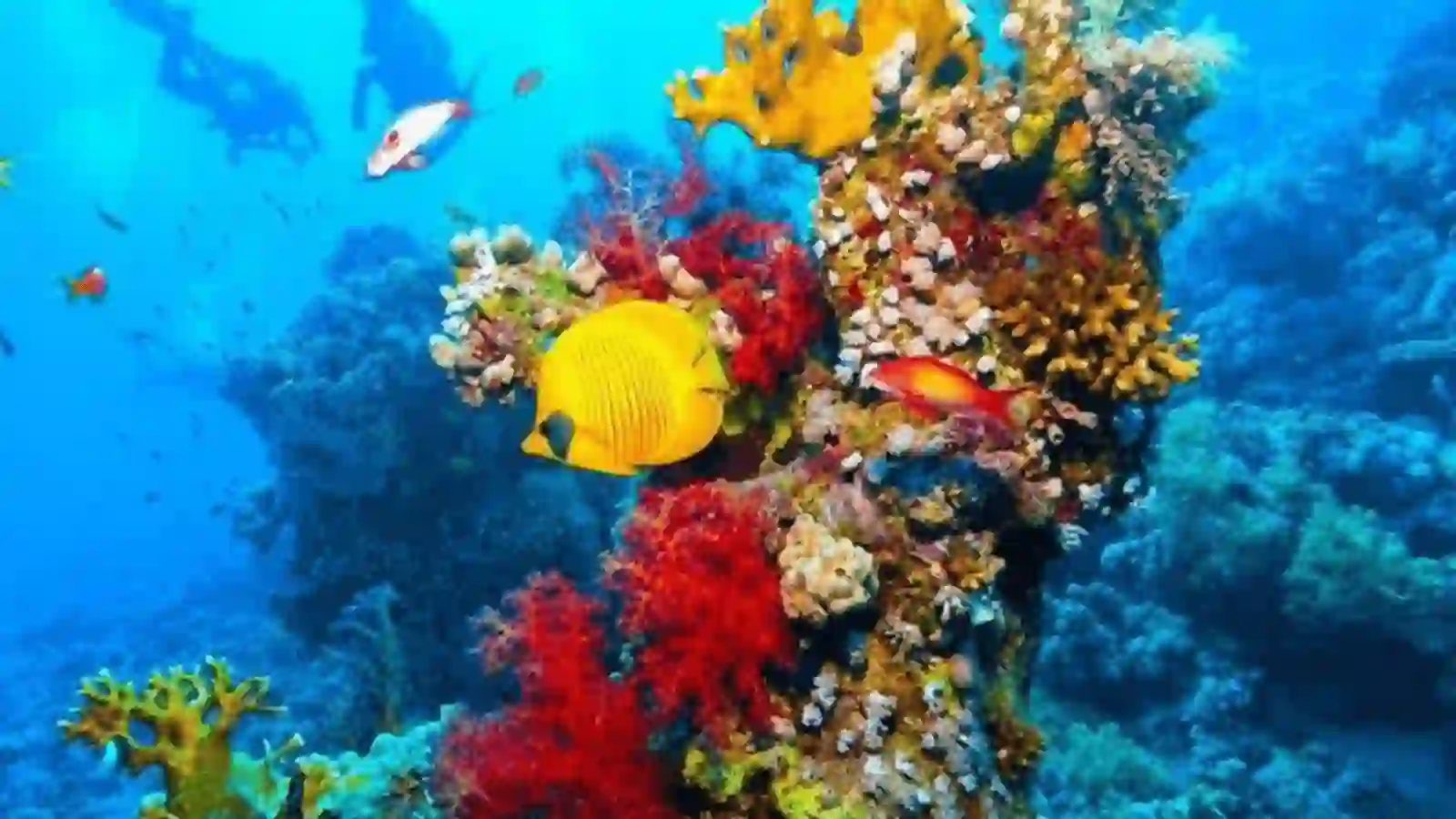 Sharm El Sheikh(new)