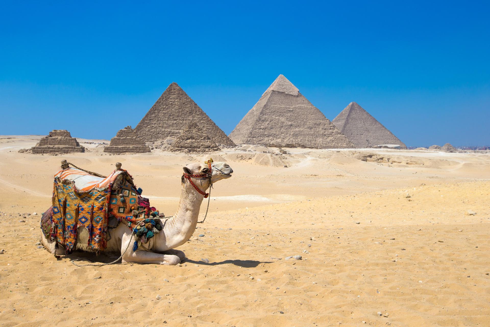Tagestour von Sharm el Sheikh nach Kairo mit dem Bus
